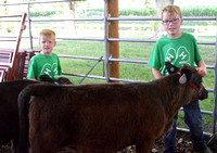 2021 Cedar County Fair - Day 2 Dairy & Bucket calf show