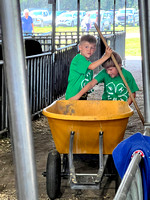 Beckett and Jackson Wortmann Cleaning up stalls