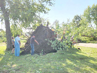 Gladstone Park tree damage with people 1