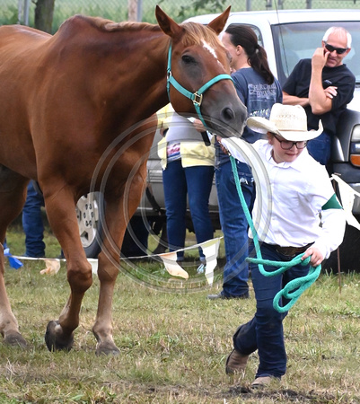 a 2024-07-20 10.17.24 Horse showmanship