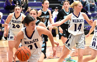 Hartington-Nrewcastle Girls Basketball Home Opener